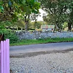 Meadow Lane Sligo