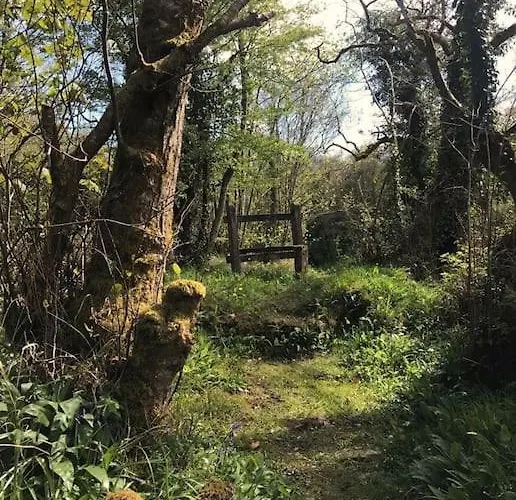 Lejlighed Meadow Lane *